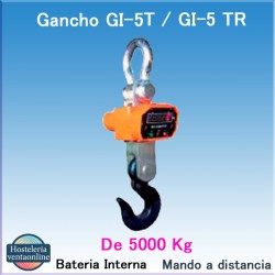 BASCULA NEPTUNO Gancho GI 5T/GI-5 TR EPELSA